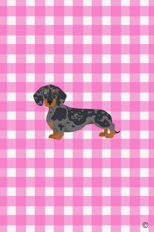 The Chloe Blanket© PREORDER