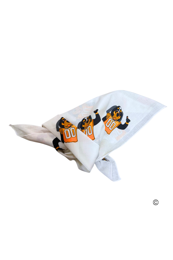 Smokey Bandana© PREORDER