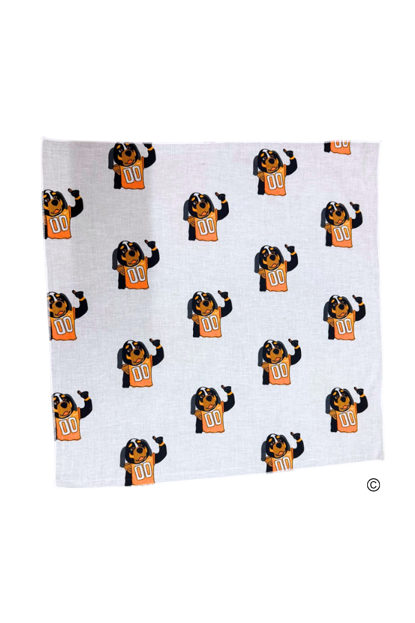 Smokey Bandana© PREORDER