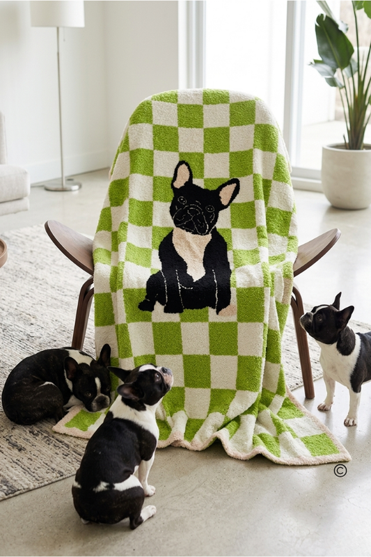 Walter Wiggles Check Blanket© PREORDER