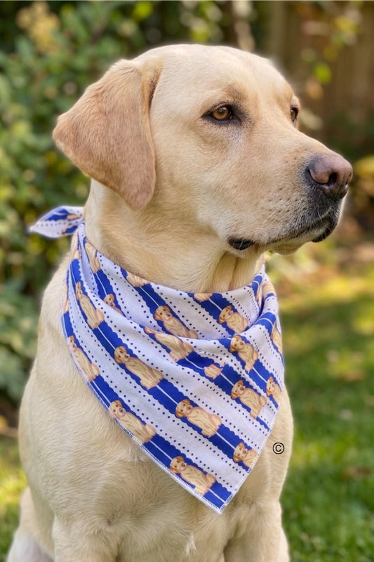 All American Charlie Bandana© PREORDER