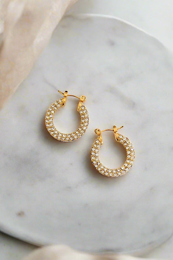 Natural Elements Gold Pave Hoop Earrings