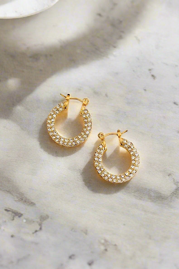 Natural Elements Gold Pave Hoop Earrings