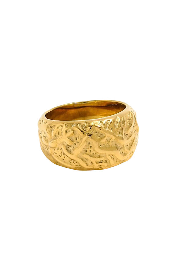 Natural Elements Gold Chunky Meteor Ring